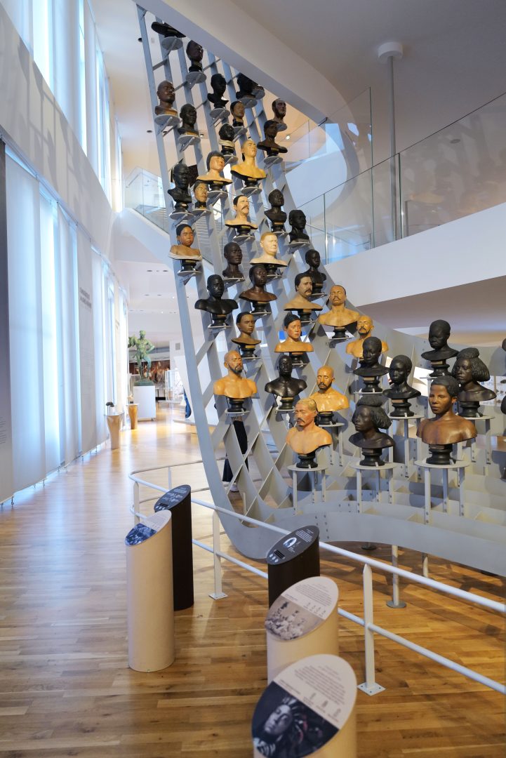 Galerie de buste du musée de l'homme