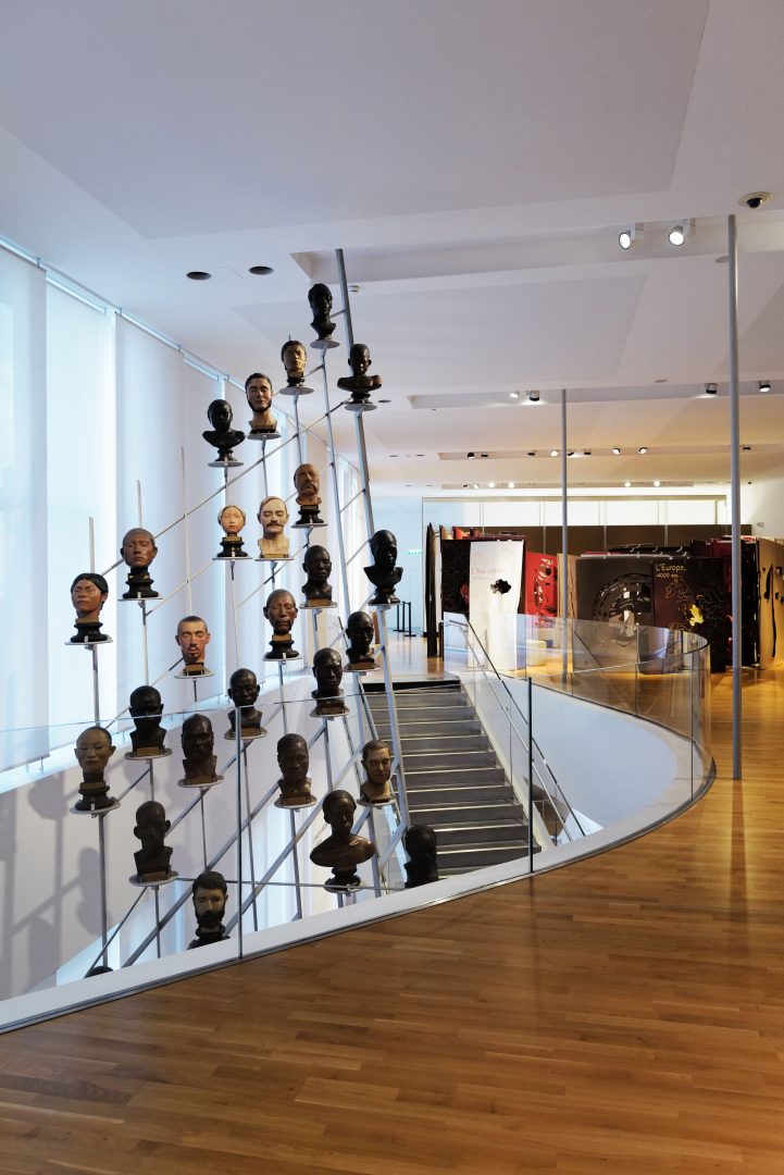 Bustes à l'étage du musée de l'homme