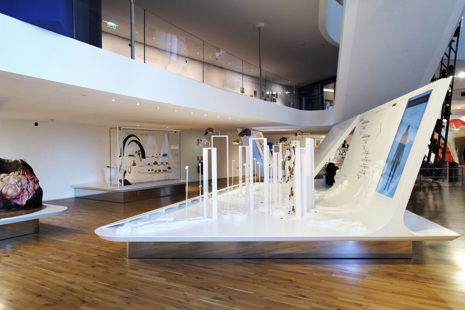 Exposition au rez de chaussée du musée de l'homme