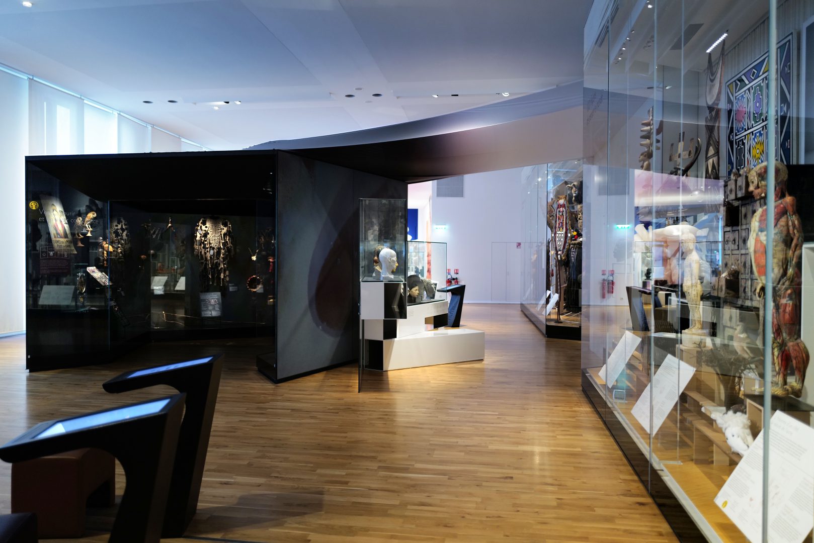 Vitrine du musée de l'homme